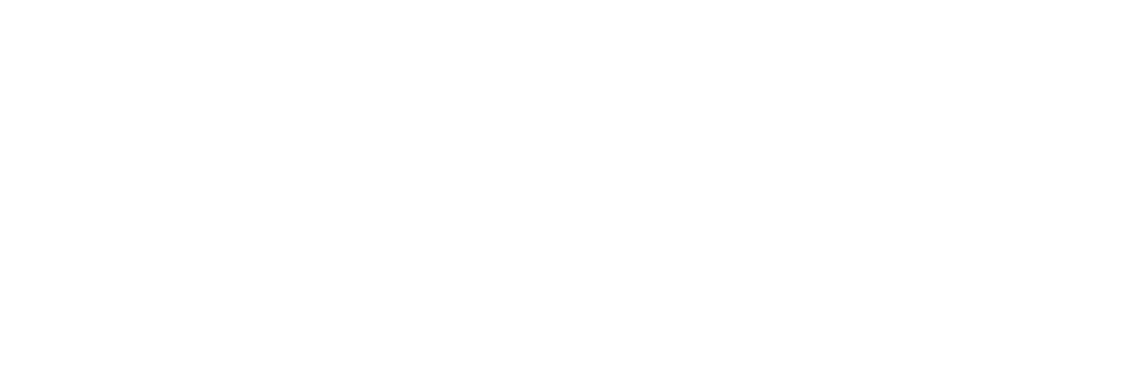 primusvidya